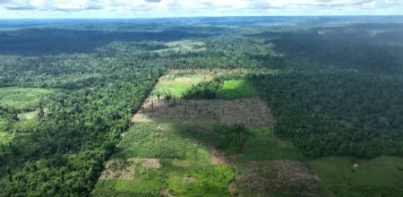 البرازيل تطلق خطة لحماية غابات الأمازون وتستهدف إيقاف قطع الأشجار بحلول عام 2030
